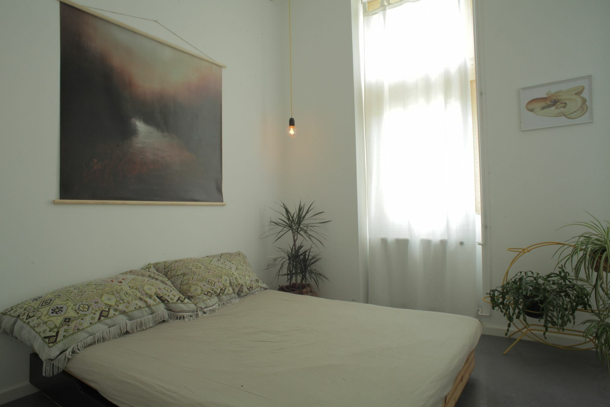 Bpm-Apartment Charm And Le Petit Budapešť Exteriér fotografie